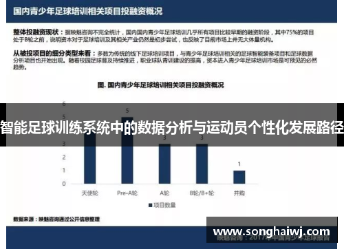 智能足球训练系统中的数据分析与运动员个性化发展路径